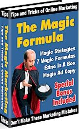 Product picture The Magical Formula  Increase Your Website Profits In 72 Hours Or Less  by Terry Dean - *w/Resell Rights*